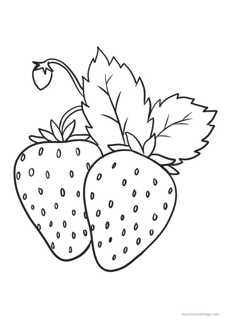 coloriage fraise deux fraises et leurs feuilles - dessin gratuit &agrave; imprimer