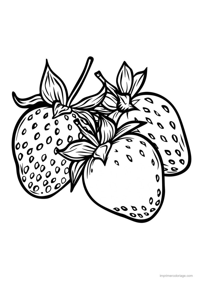 coloriage fraise fraise et sa collerette 19 - dessin gratuit &agrave; imprimer