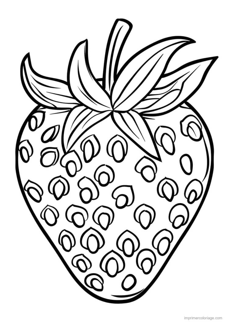 coloriage fraise fraise gravee et ses akenes - dessin gratuit &agrave; imprimer
