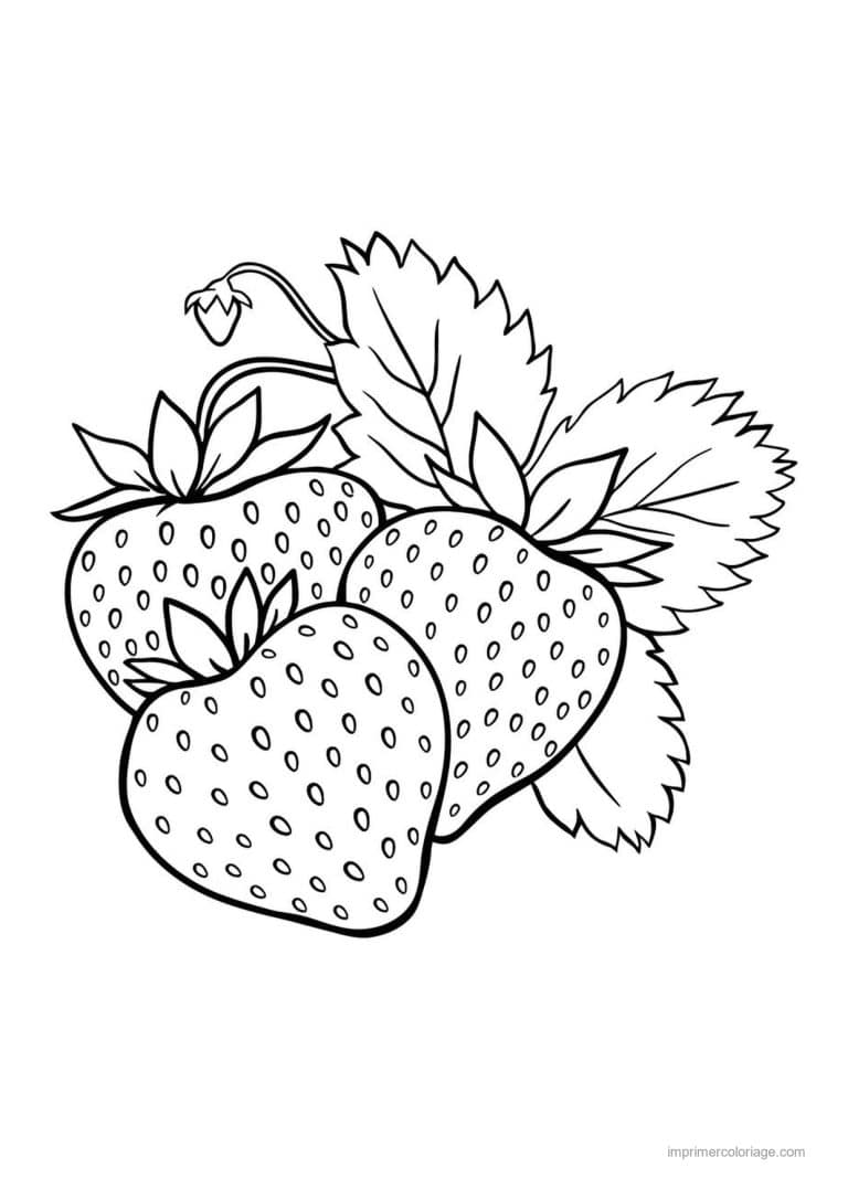 coloriage fraise trois fraises et leurs feuilles - dessin gratuit &agrave; imprimer