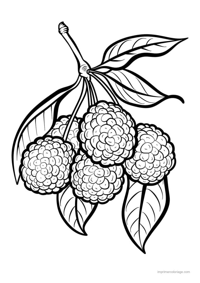 coloriage framboise mure myrtille baies et leurs feuilles 170 - dessin gratuit &agrave; imprimer
