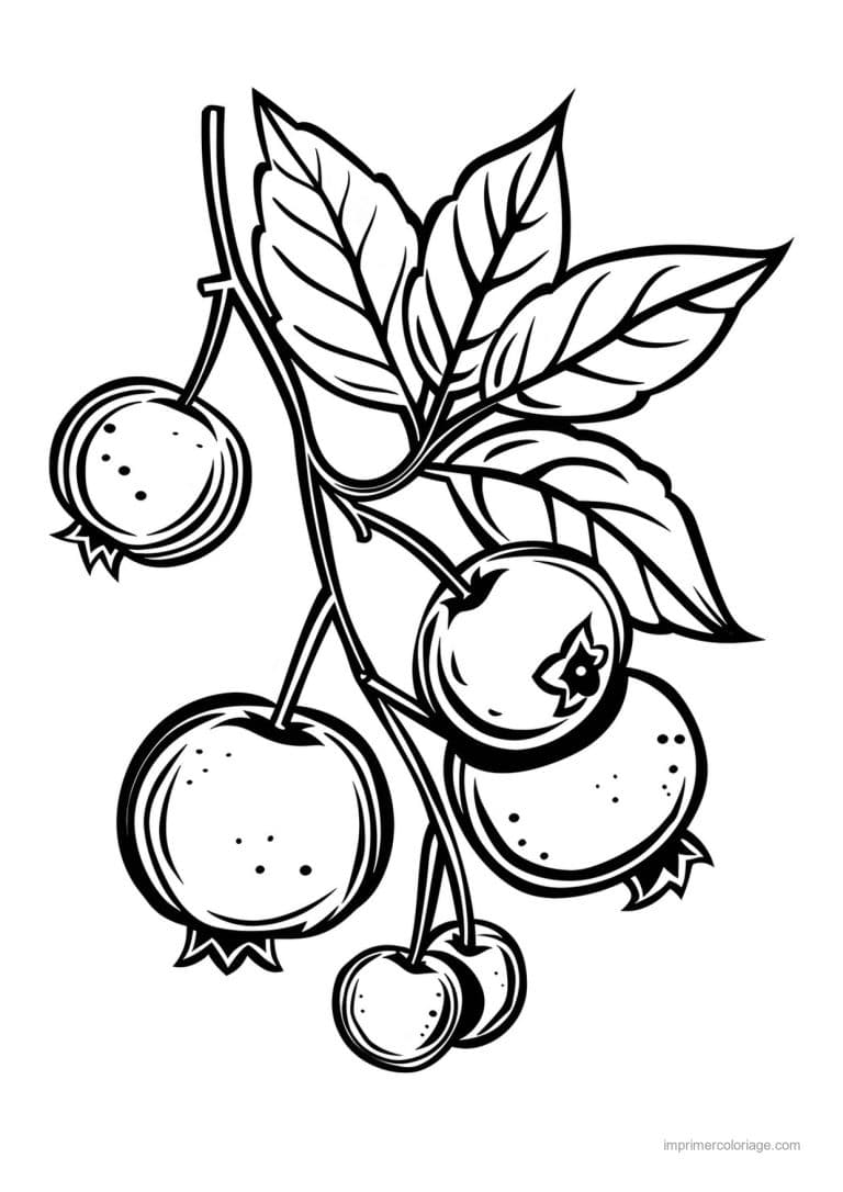 coloriage framboise mure myrtille baies et leurs feuilles 200 - dessin gratuit &agrave; imprimer