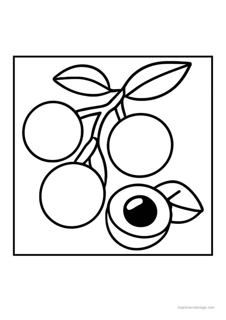 coloriage framboise mure myrtille baies sur leur rameau - dessin gratuit &agrave; imprimer