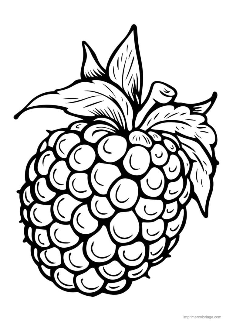 coloriage framboise mure myrtille framboise gravee et ses feuilles - dessin gratuit &agrave; imprimer