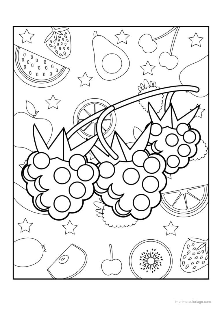 coloriage framboise mure myrtille grappes de groseilles - dessin gratuit &agrave; imprimer