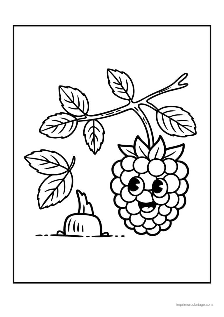 coloriage framboise mure myrtille mure kawaii sur la branche - dessin gratuit &agrave; imprimer