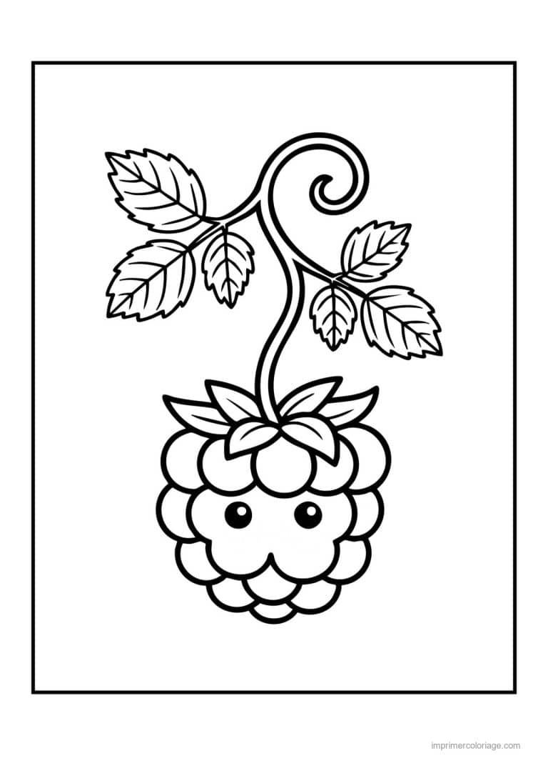 coloriage framboise mure myrtille mure kawaii sur sa tige - dessin gratuit &agrave; imprimer