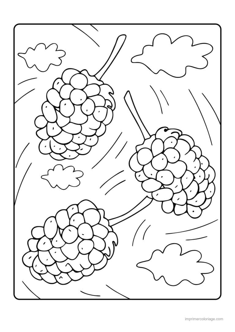 coloriage framboise mure myrtille mures sur leur branche - dessin gratuit &agrave; imprimer