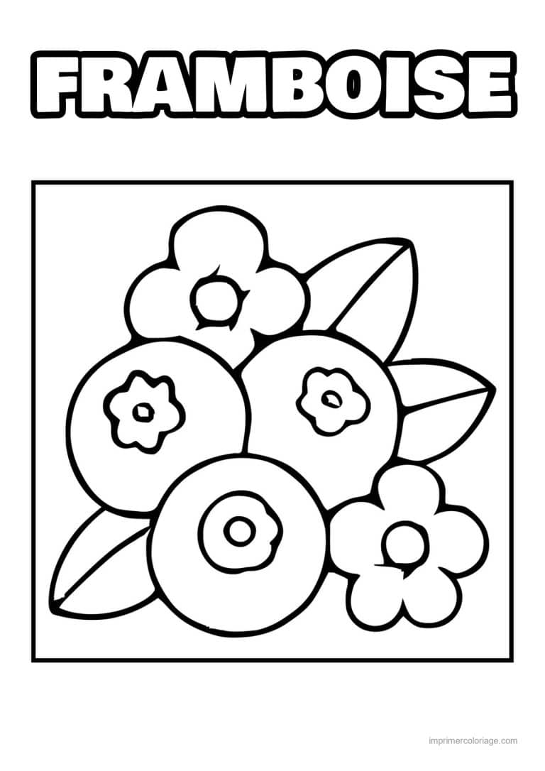 coloriage framboise mure myrtille myrtilles et fleurs - dessin gratuit &agrave; imprimer