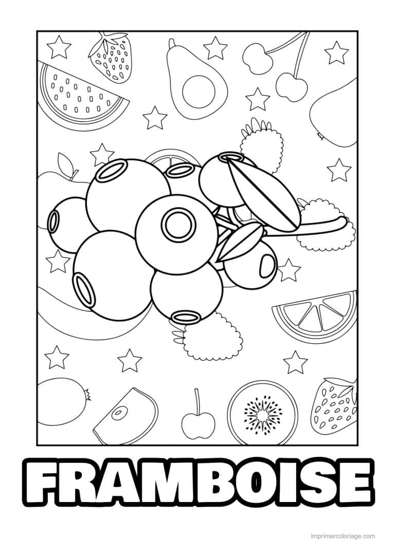 coloriage framboise mure myrtille myrtilles et leurs feuilles 2 - dessin gratuit &agrave; imprimer