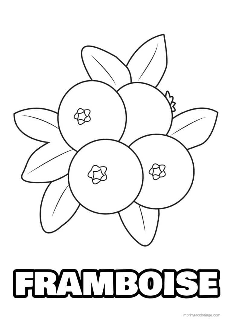 coloriage framboise mure myrtille quatre myrtilles et feuilles - dessin gratuit &agrave; imprimer