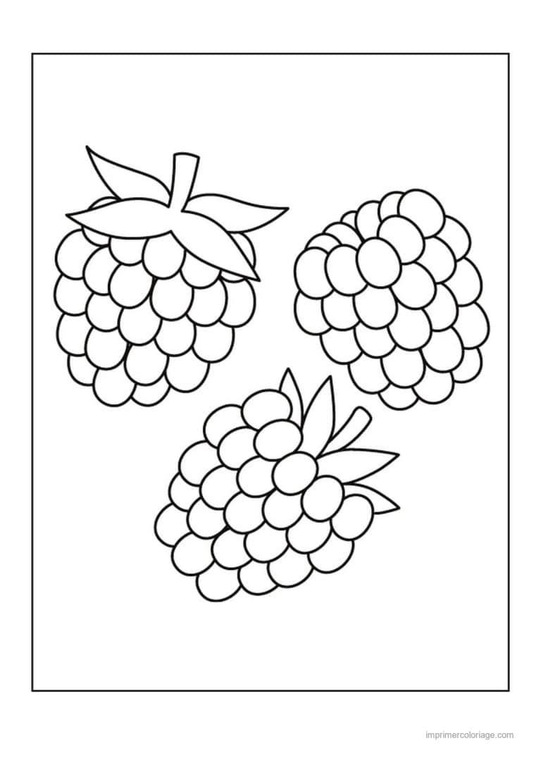 coloriage framboise mure myrtille trois framboises - dessin gratuit &agrave; imprimer