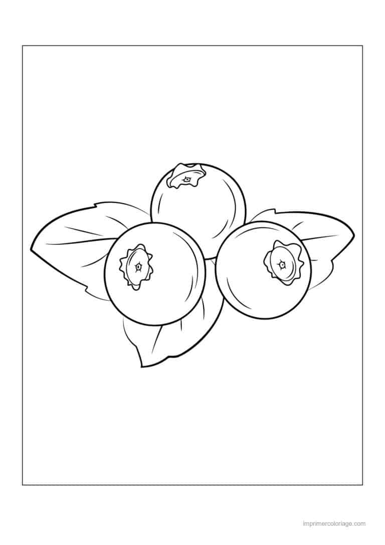 coloriage framboise mure myrtille trois myrtilles et feuilles - dessin gratuit &agrave; imprimer