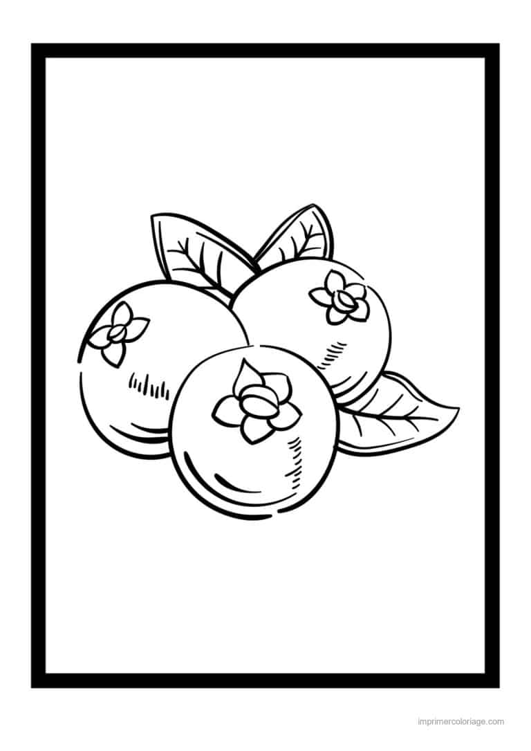coloriage framboise mure myrtille trois myrtilles fleuries - dessin gratuit &agrave; imprimer