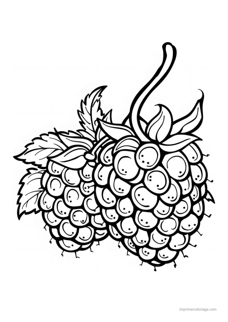 coloriage fruits baies gravees 57 - dessin gratuit &agrave; imprimer