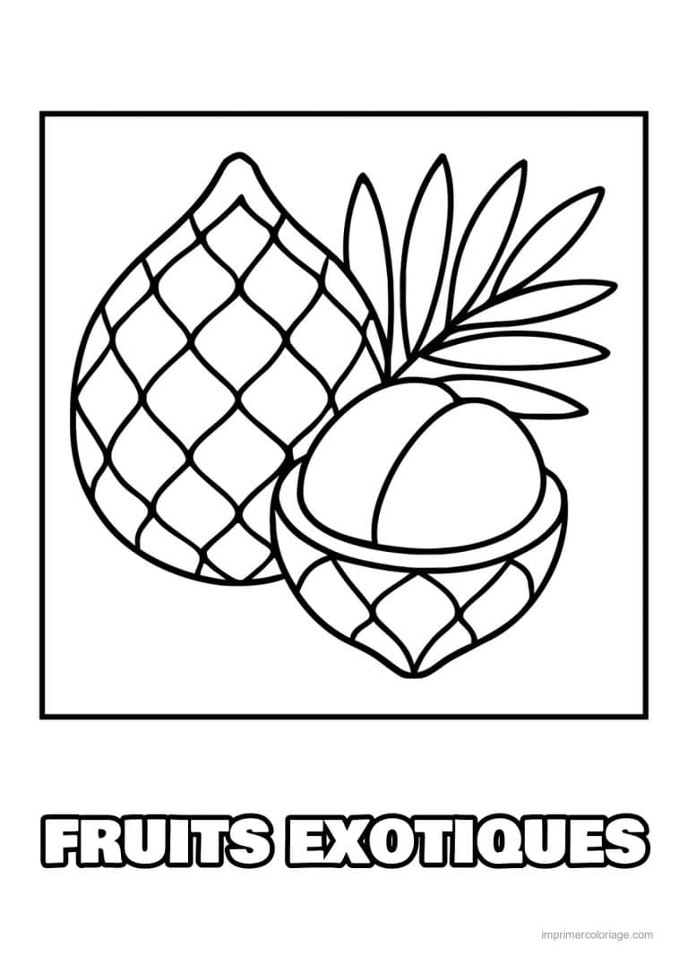coloriage fruits exotiques ananas et noix de coco - dessin gratuit &agrave; imprimer