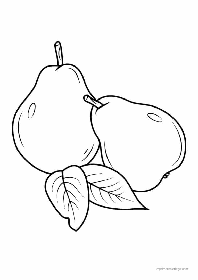 coloriage fruits exotiques deux goyaves et feuilles - dessin gratuit &agrave; imprimer