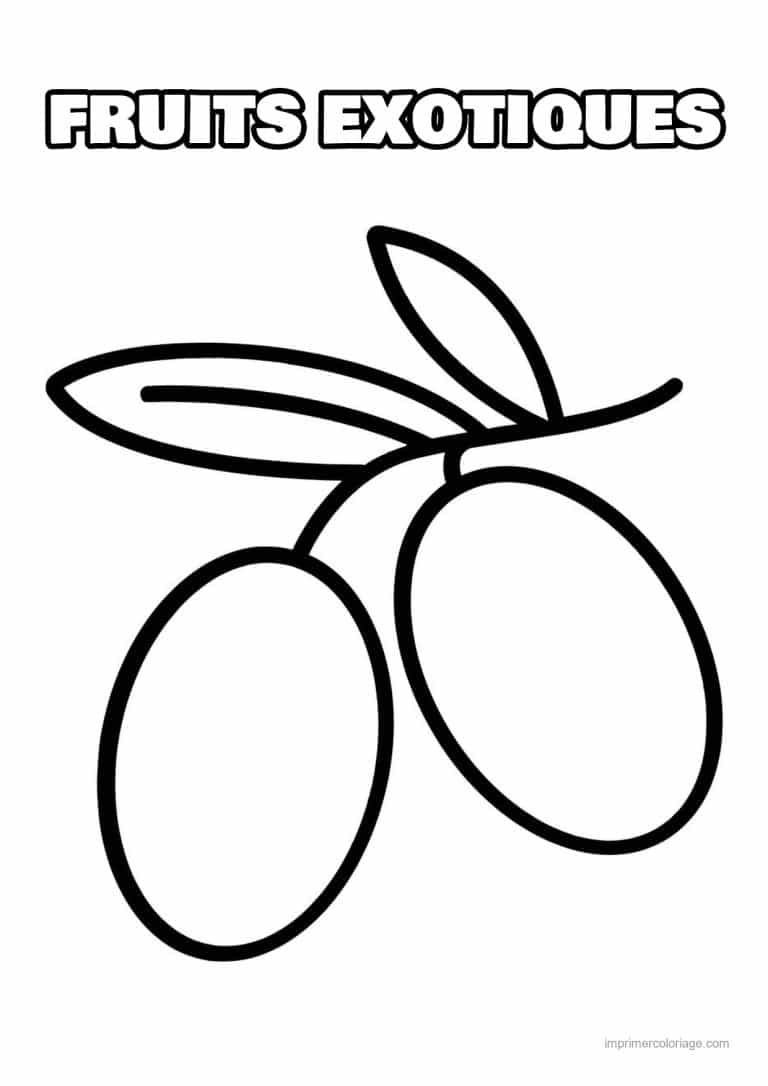 coloriage fruits exotiques deux olives et leurs feuilles - dessin gratuit &agrave; imprimer