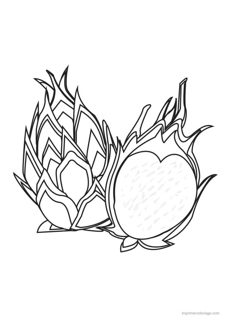 coloriage fruits exotiques fruit du dragon entier et coupe - dessin gratuit &agrave; imprimer