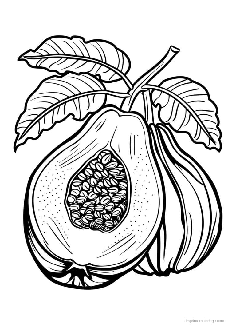 coloriage fruits exotiques fruit exotique detaille 148 - dessin gratuit &agrave; imprimer