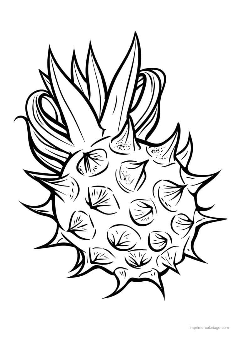 coloriage fruits exotiques fruit exotique detaille 90 - dessin gratuit &agrave; imprimer