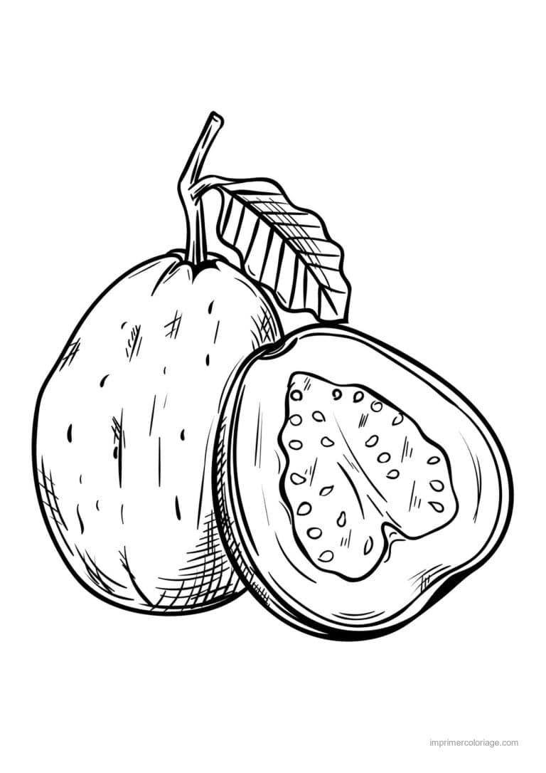 coloriage fruits exotiques goyave entiere et coupee - dessin gratuit &agrave; imprimer