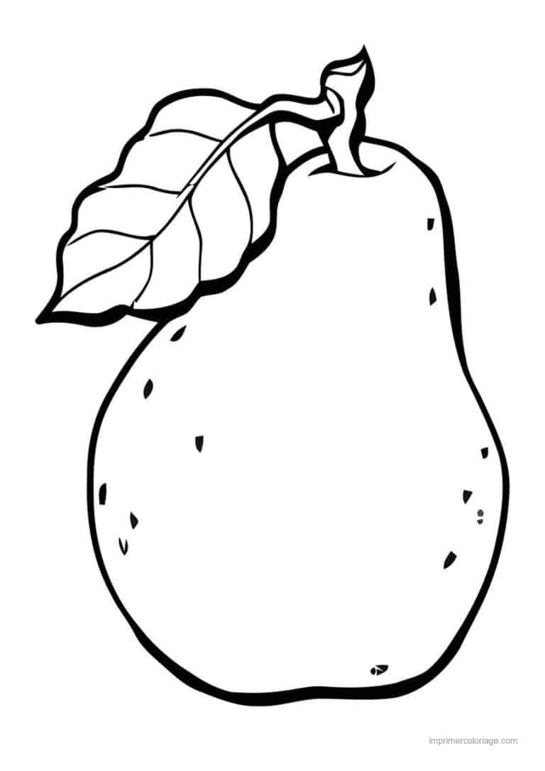 coloriage fruits exotiques goyave et sa feuille - dessin gratuit &agrave; imprimer