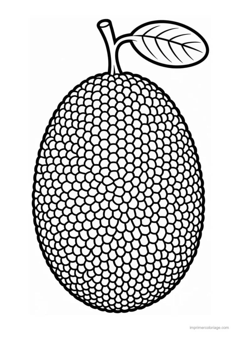 coloriage fruits exotiques jacquier au trait epais - dessin gratuit &agrave; imprimer