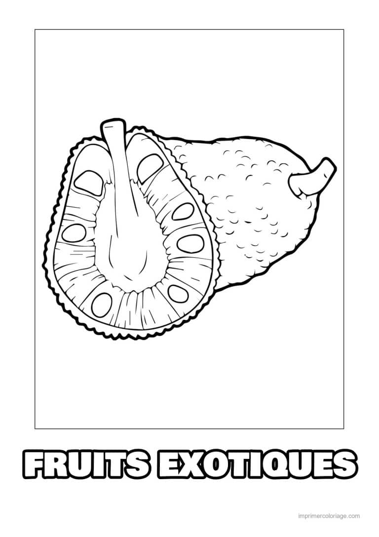 coloriage fruits exotiques jacquier entier et coupe - dessin gratuit &agrave; imprimer