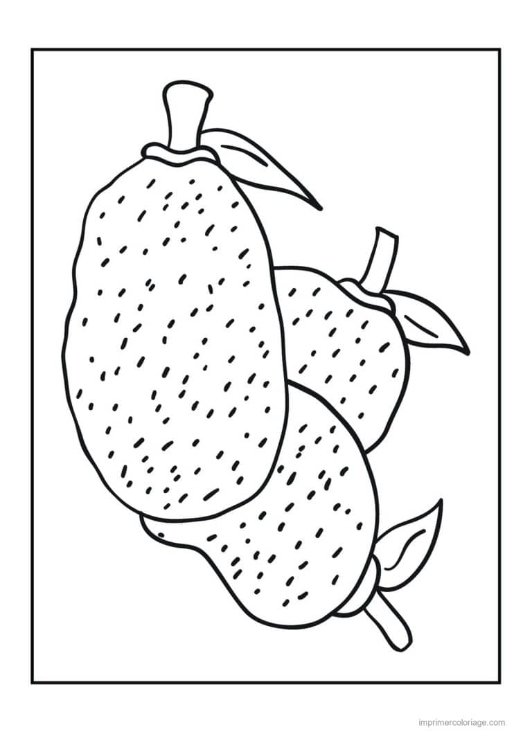 coloriage fruits exotiques jacquiers sur leur branche - dessin gratuit &agrave; imprimer