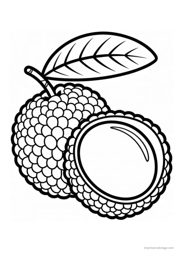 coloriage fruits exotiques litchi au trait epais - dessin gratuit &agrave; imprimer