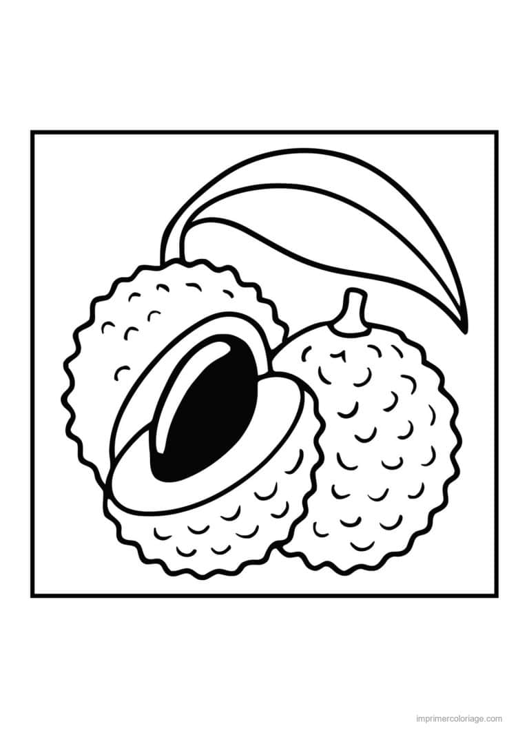 coloriage fruits exotiques litchis entier et ouvert - dessin gratuit &agrave; imprimer