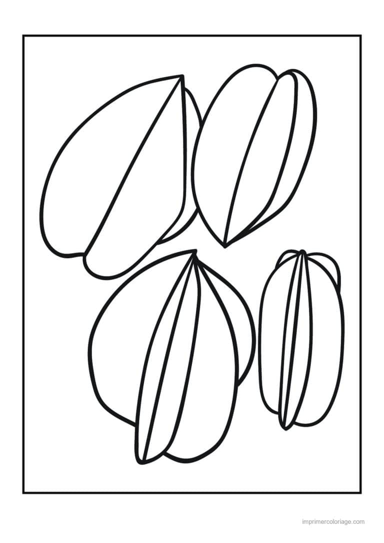 coloriage fruits exotiques quatre caramboles - dessin gratuit &agrave; imprimer