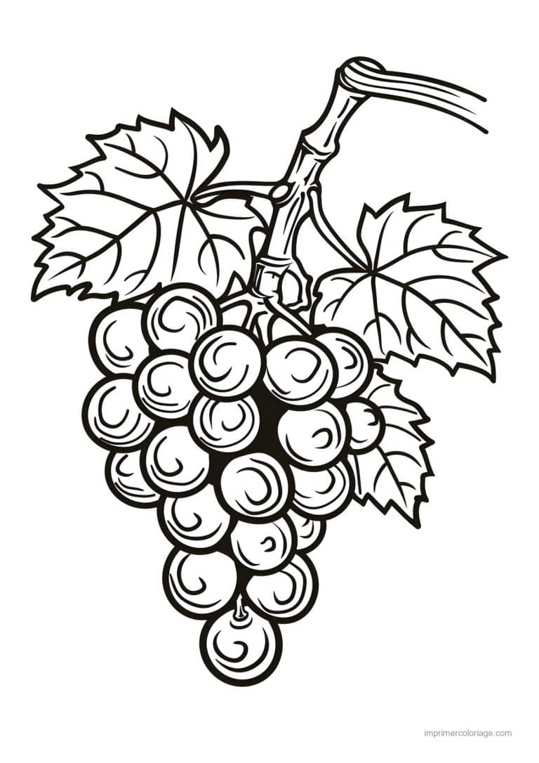 coloriage fruits grappe de raisin et feuilles 14 - dessin gratuit &agrave; imprimer