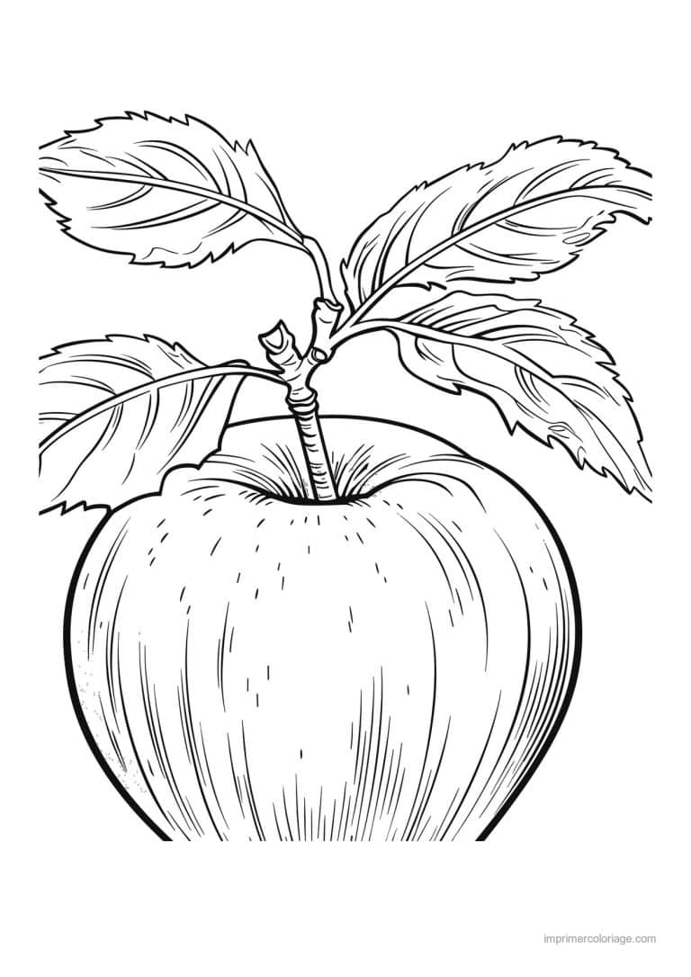 coloriage fruits pomme realiste et ses feuilles 84 - dessin gratuit &agrave; imprimer