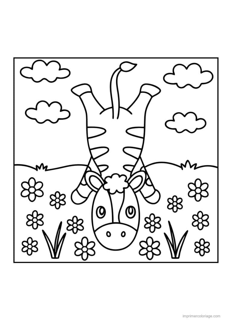 coloriage gymnastique zebre poirier - dessin gratuit &agrave; imprimer