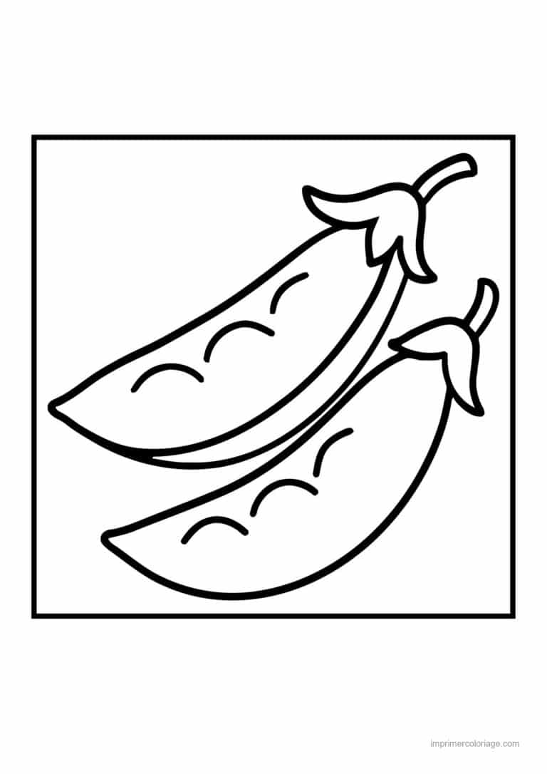 coloriage haricot petit pois deux gousses de petits pois - dessin gratuit &agrave; imprimer
