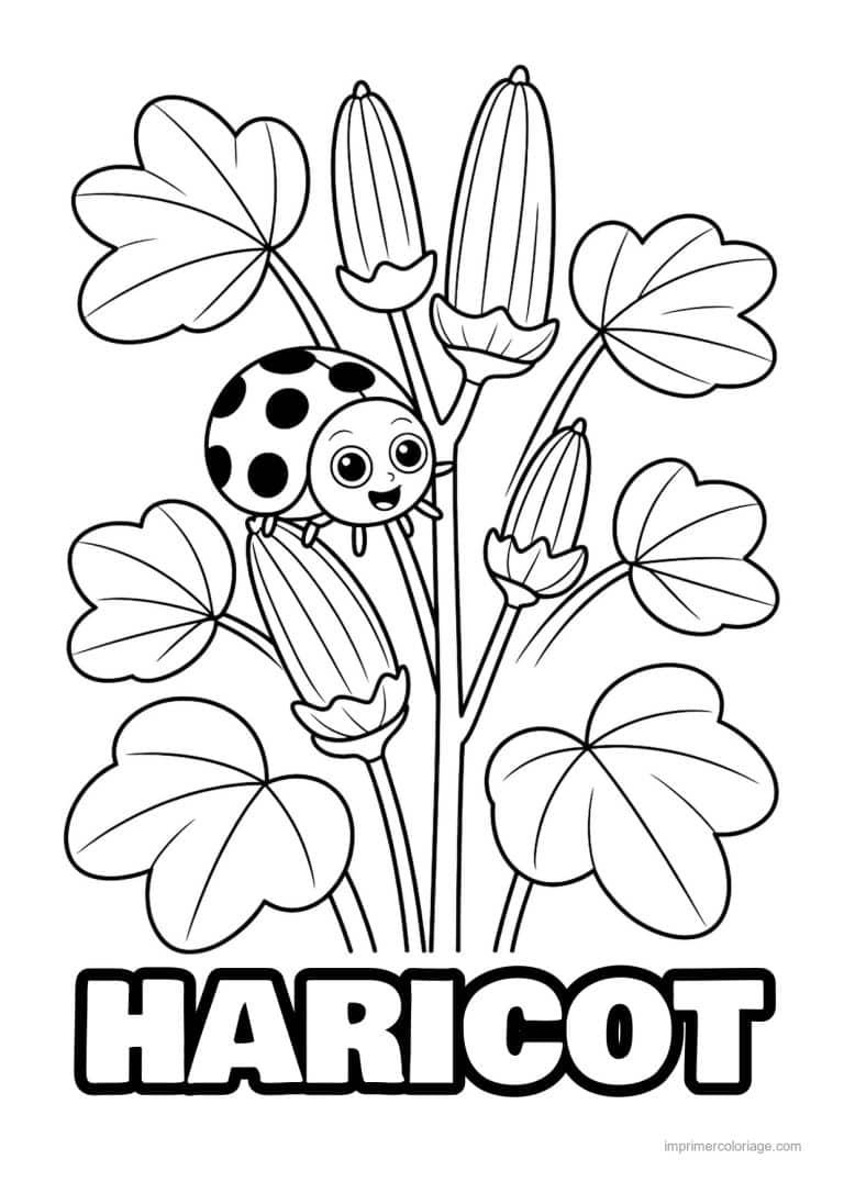 coloriage haricot petit pois gombos et coccinelle - dessin gratuit &agrave; imprimer