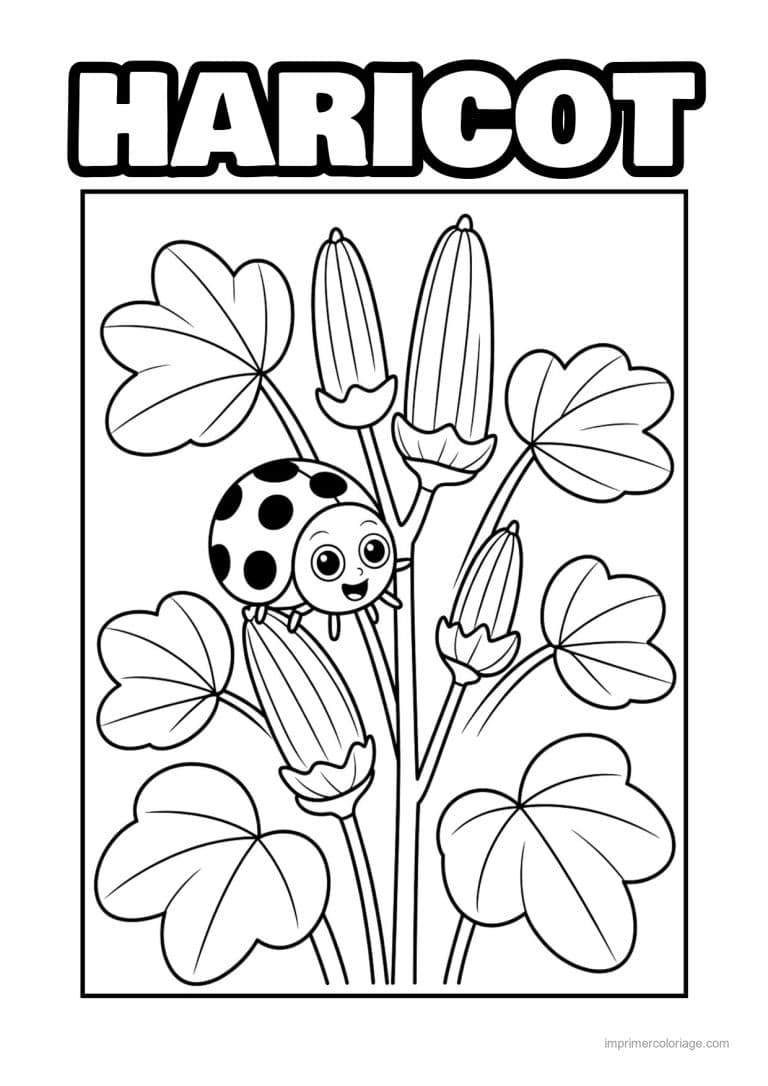 coloriage haricot petit pois gombos et leurs feuilles - dessin gratuit &agrave; imprimer