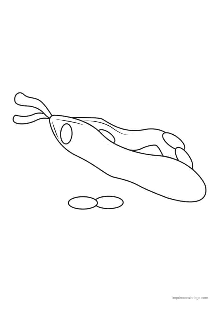 coloriage haricot petit pois gousse de haricot et graines - dessin gratuit &agrave; imprimer