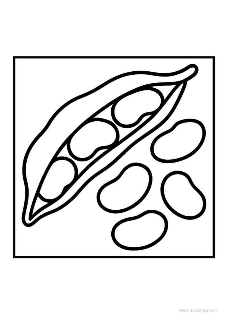 coloriage haricot petit pois gousse de haricots et graines - dessin gratuit &agrave; imprimer