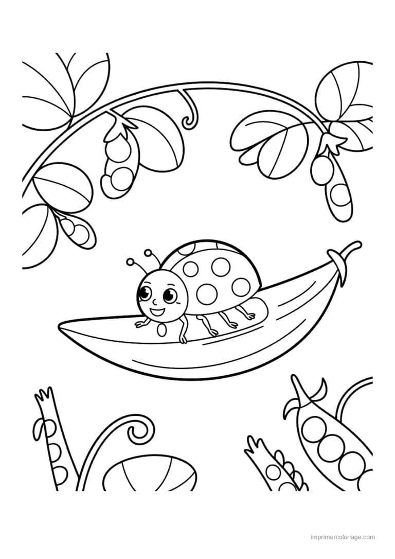 coloriage haricot petit pois gousse de petits pois hamac - dessin gratuit &agrave; imprimer