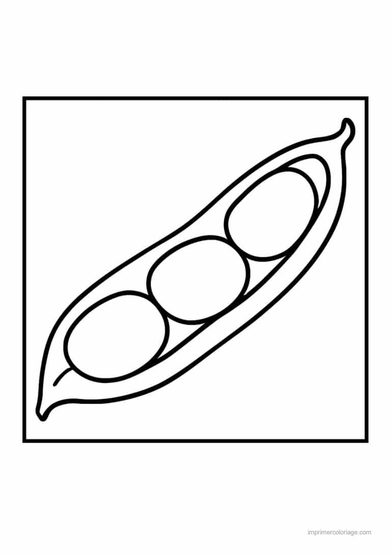 coloriage haricot petit pois gousse de petits pois ouverte 2 - dessin gratuit &agrave; imprimer
