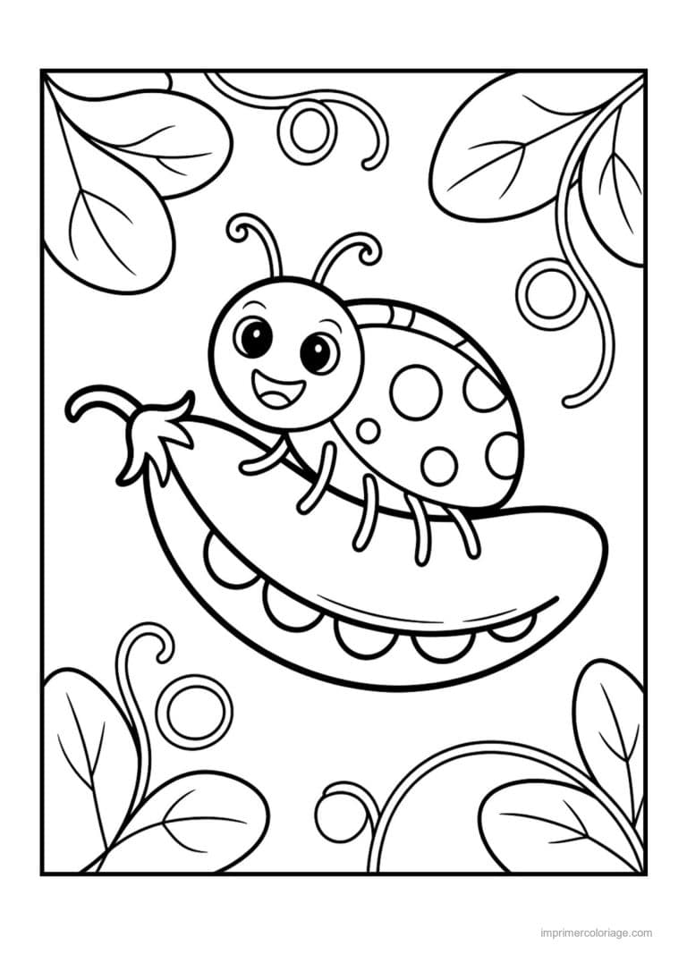 coloriage haricot petit pois gousse de petits pois ouverte 3 - dessin gratuit &agrave; imprimer