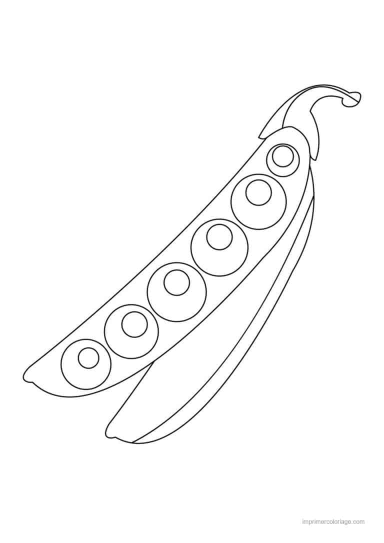 coloriage haricot petit pois gousse de petits pois ouverte 4 - dessin gratuit &agrave; imprimer