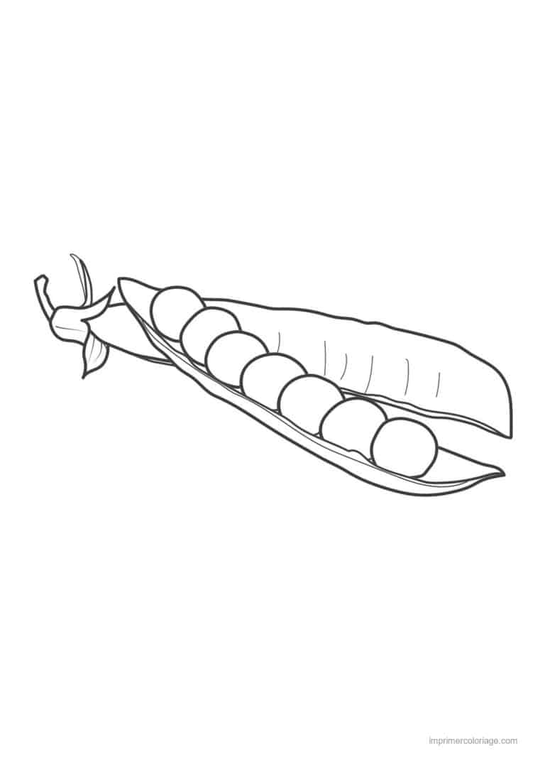 coloriage haricot petit pois gousse de petits pois ouverte 5 - dessin gratuit &agrave; imprimer