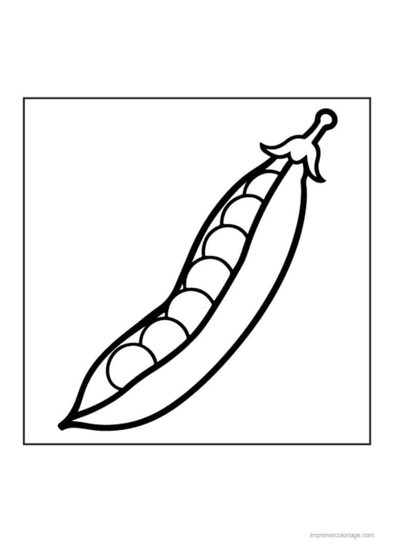coloriage haricot petit pois gousse de petits pois ouverte - dessin gratuit &agrave; imprimer