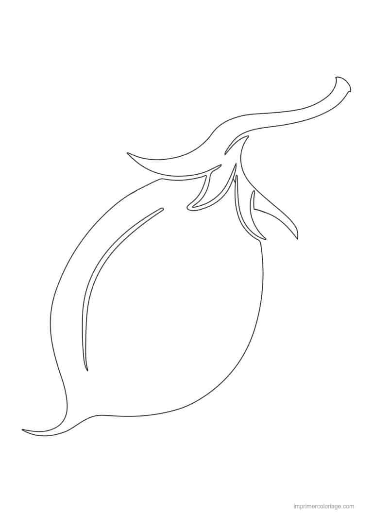 coloriage haricot petit pois gousse de pois chiches - dessin gratuit &agrave; imprimer