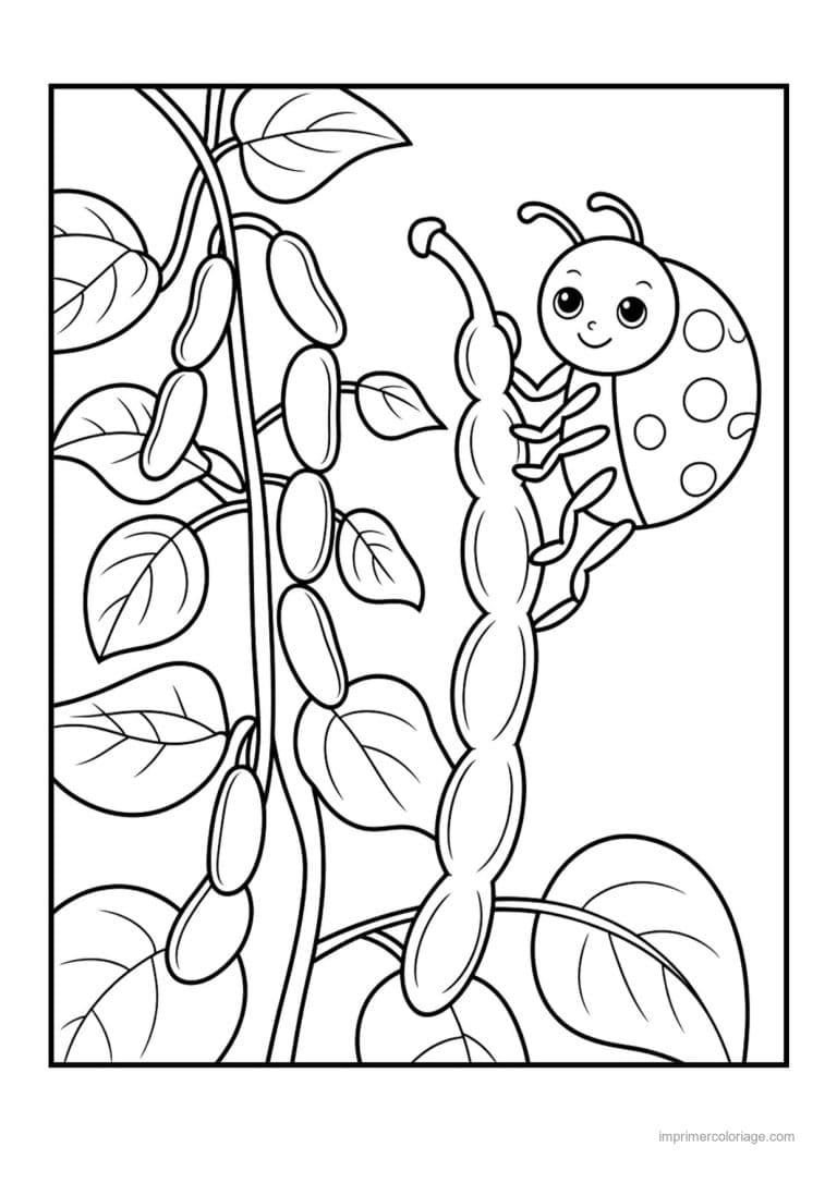 coloriage haricot petit pois gousses de haricots et coccinelle - dessin gratuit &agrave; imprimer