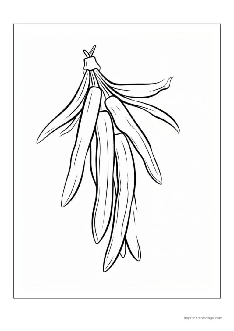 coloriage haricot petit pois gousses de haricots et feuilles 39 - dessin gratuit &agrave; imprimer
